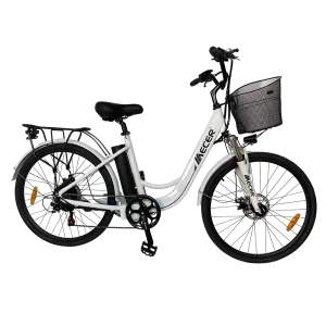 City Ebike